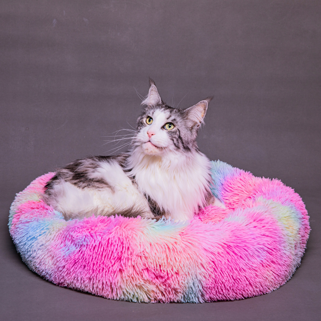 The Cuddle Cloud Cat Bed