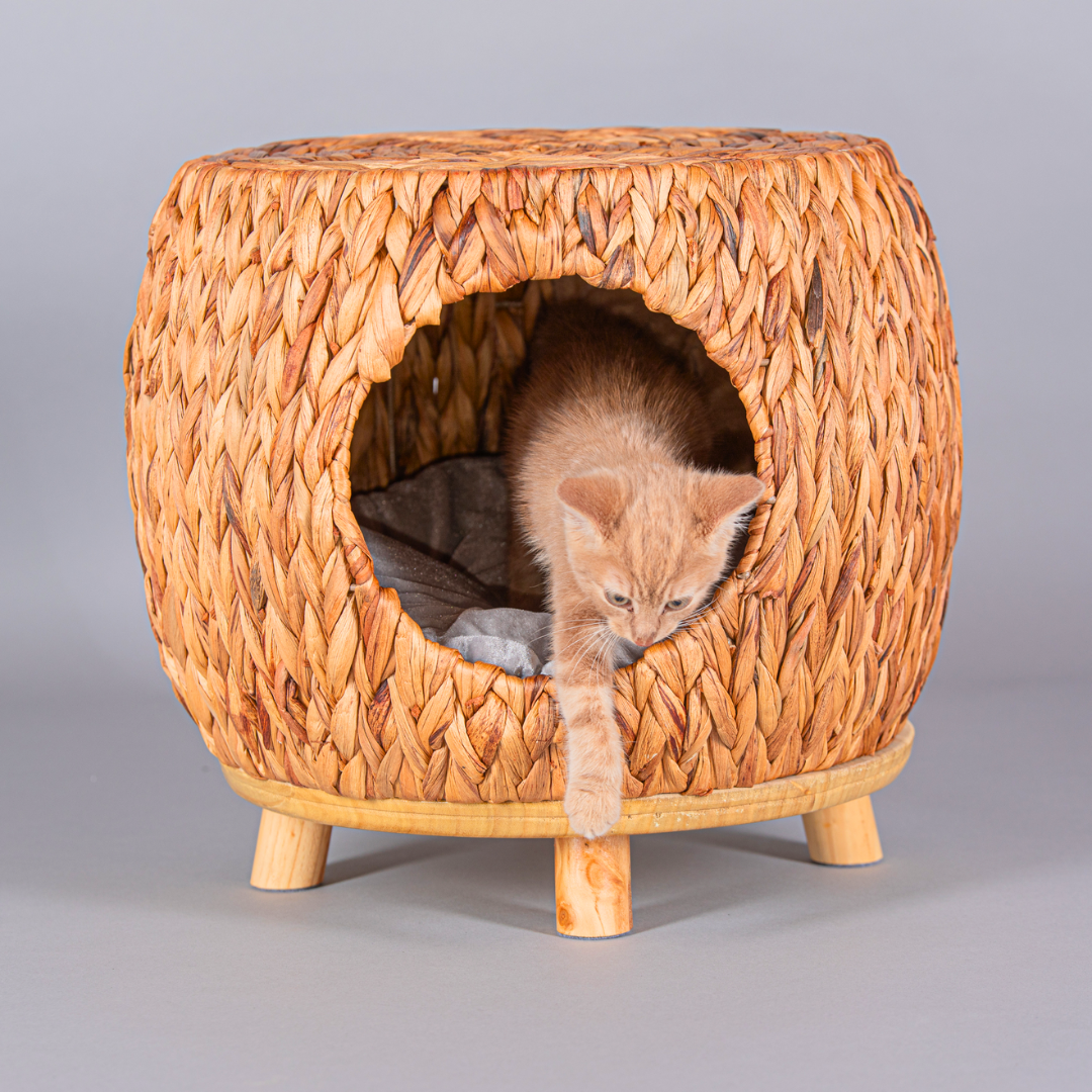 Wicker Kitty Condo Cat Bed