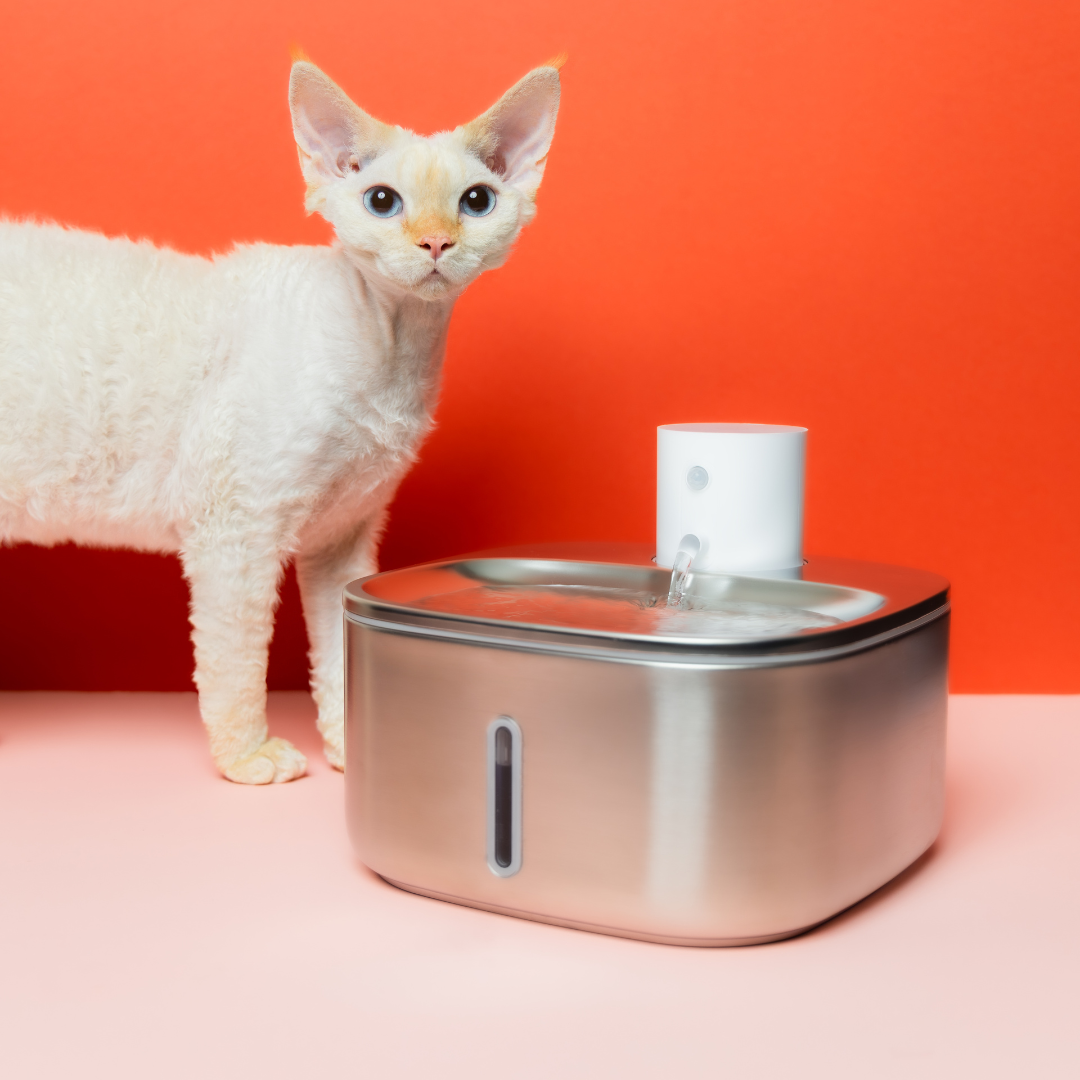 The 'Smart Stream' Wireless Cat Fountain