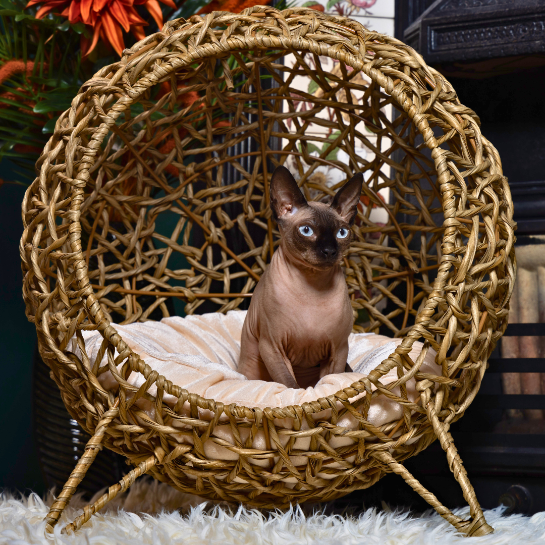 Rattan Globe