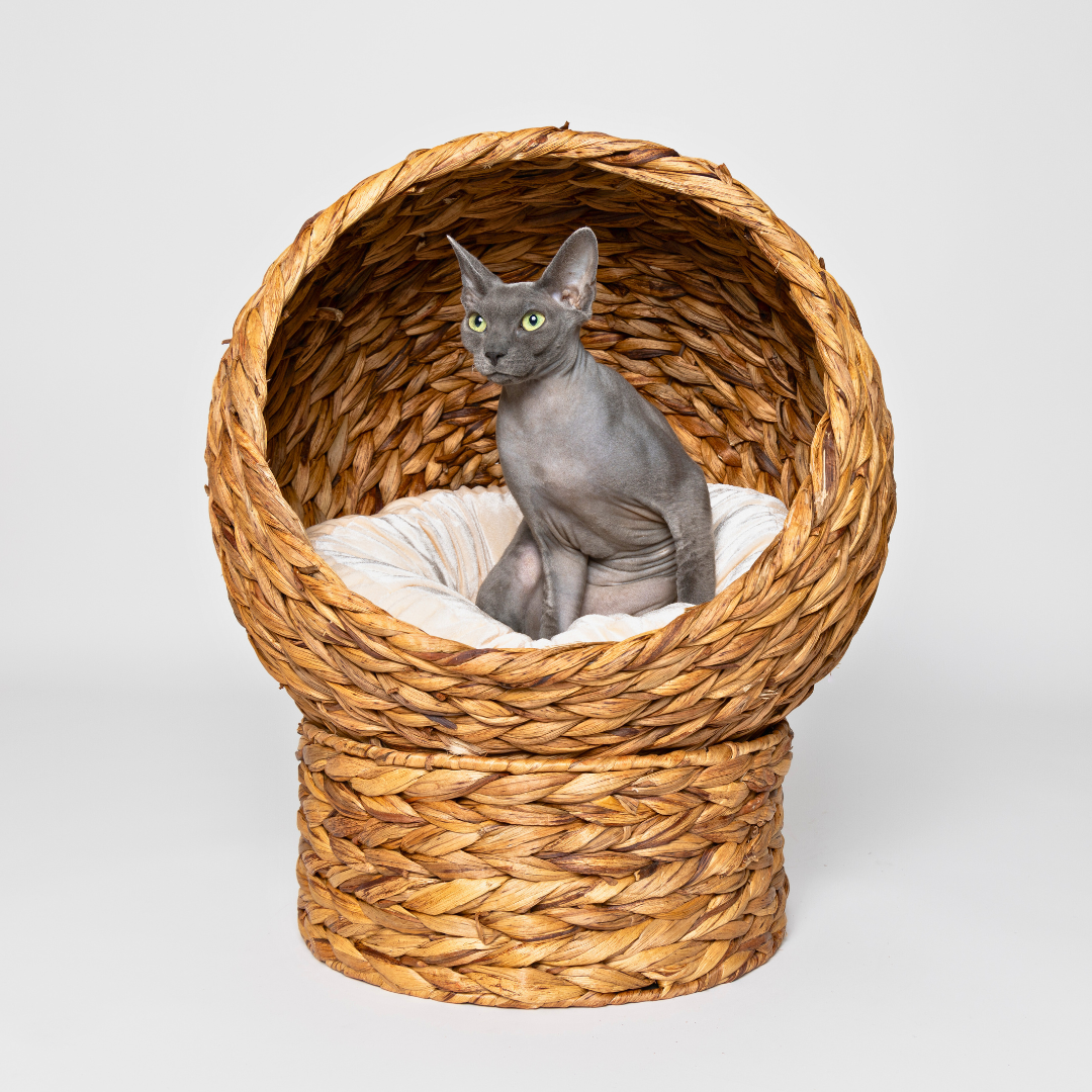 Wicker Orb