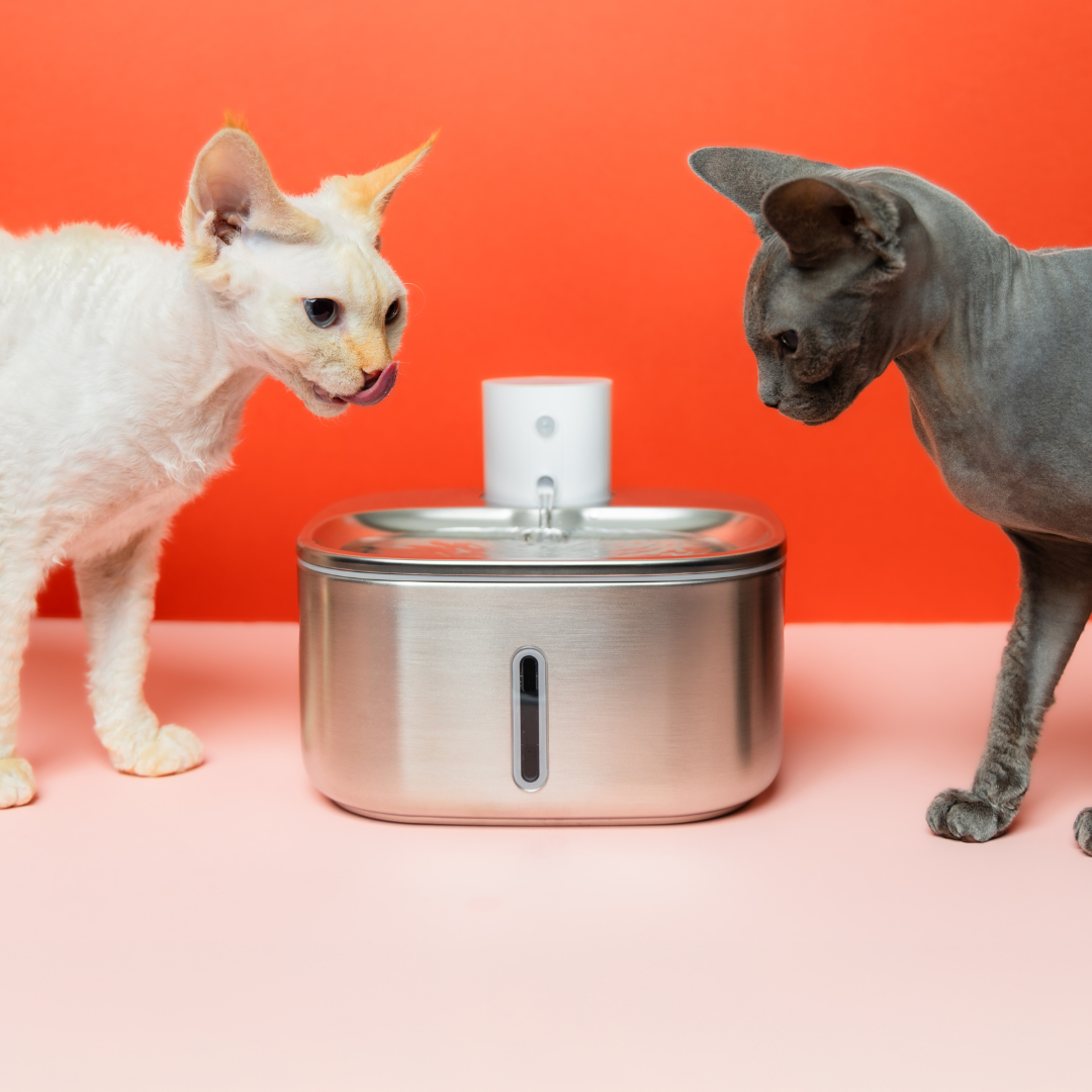 The 'Smart Stream' Wireless Cat Fountain