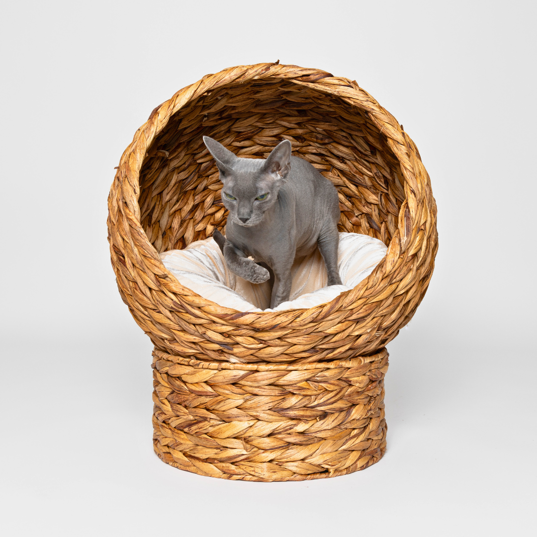 Wicker Orb