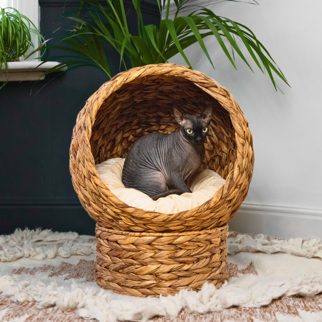 Wicker Orb