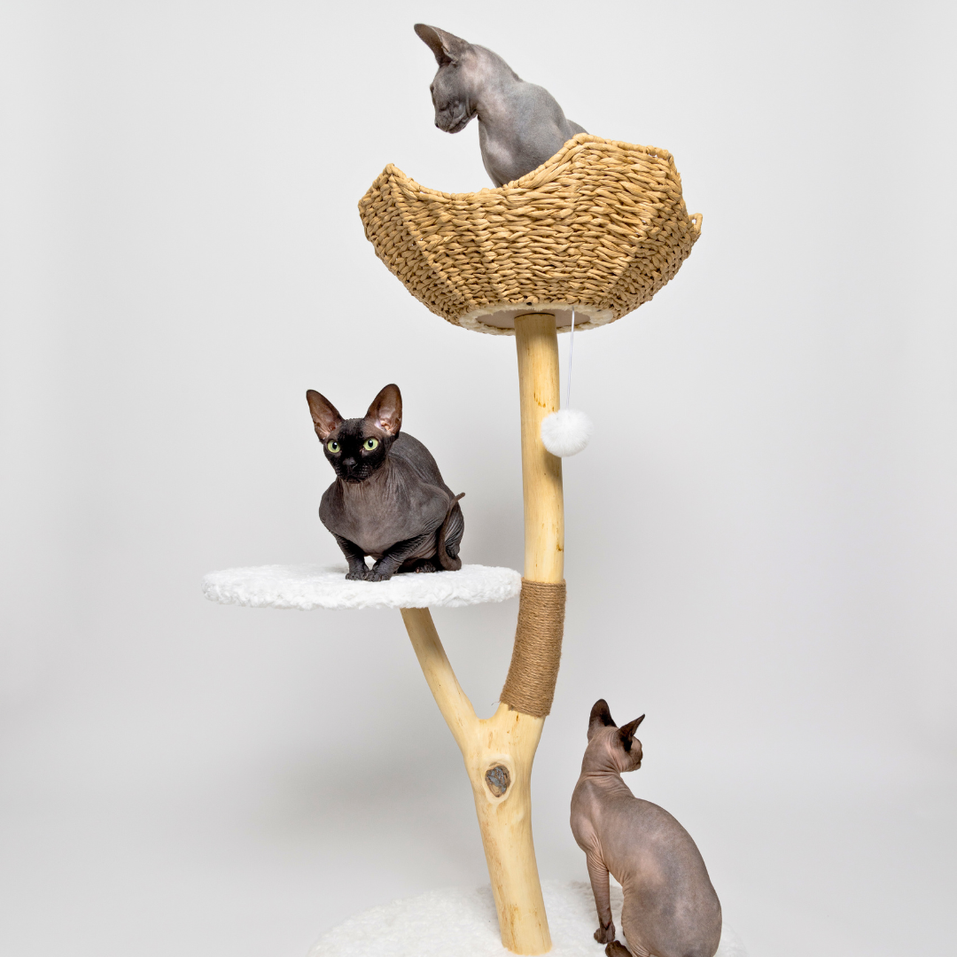 'The Alpine' Luxury Cat Tree