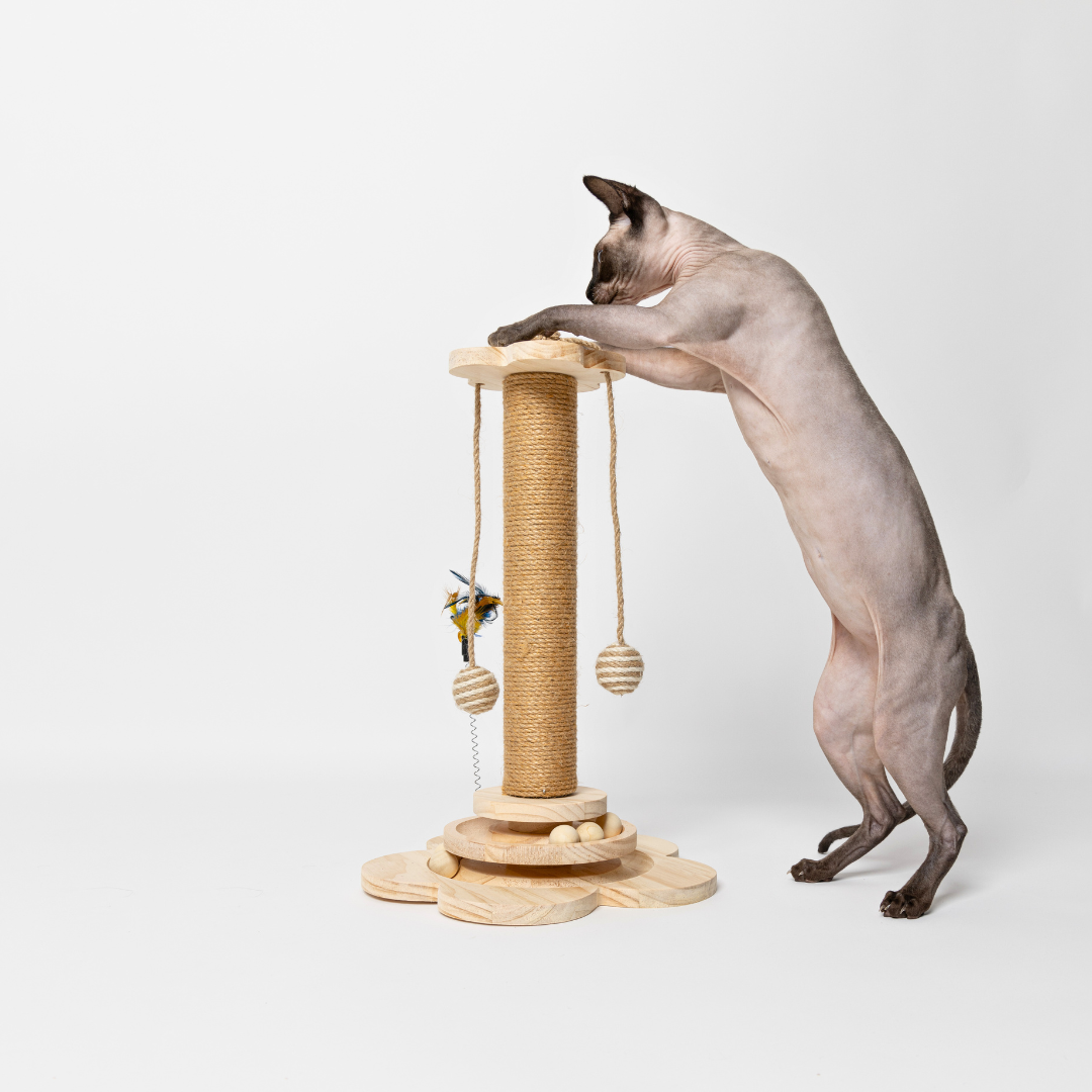 The Happy Scratch Post