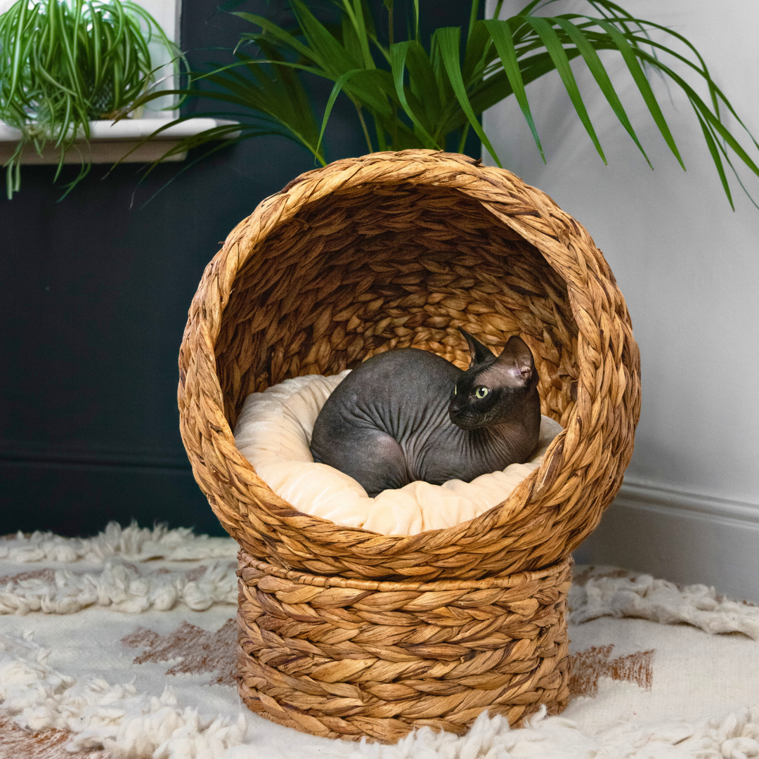Wicker Orb