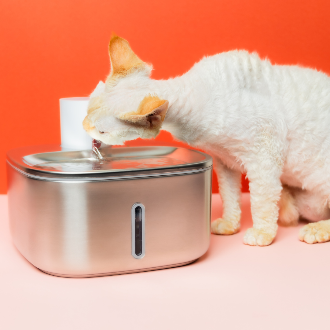 The 'Smart Stream' Wireless Cat Fountain