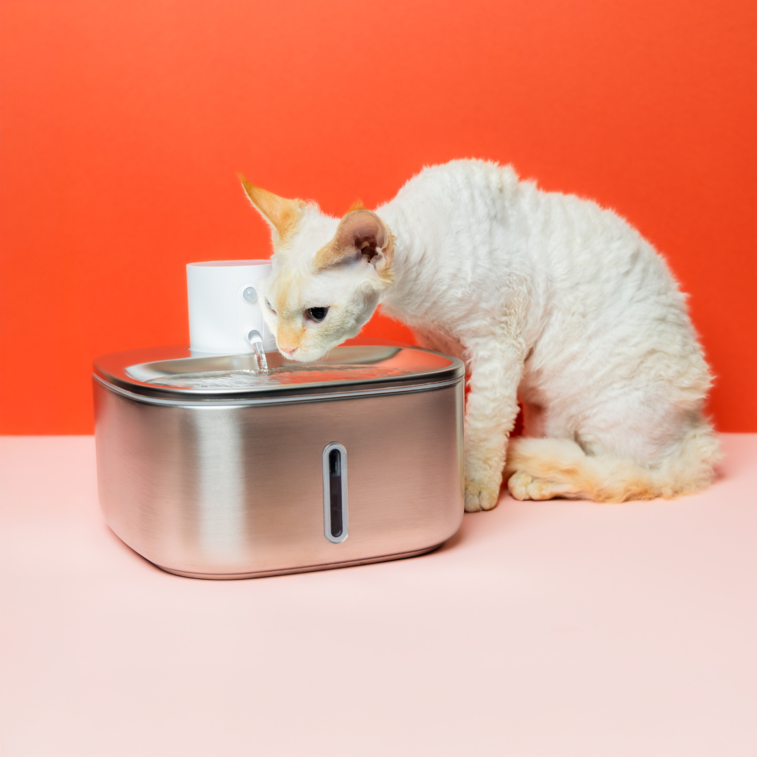 The 'Smart Stream' Wireless Cat Fountain