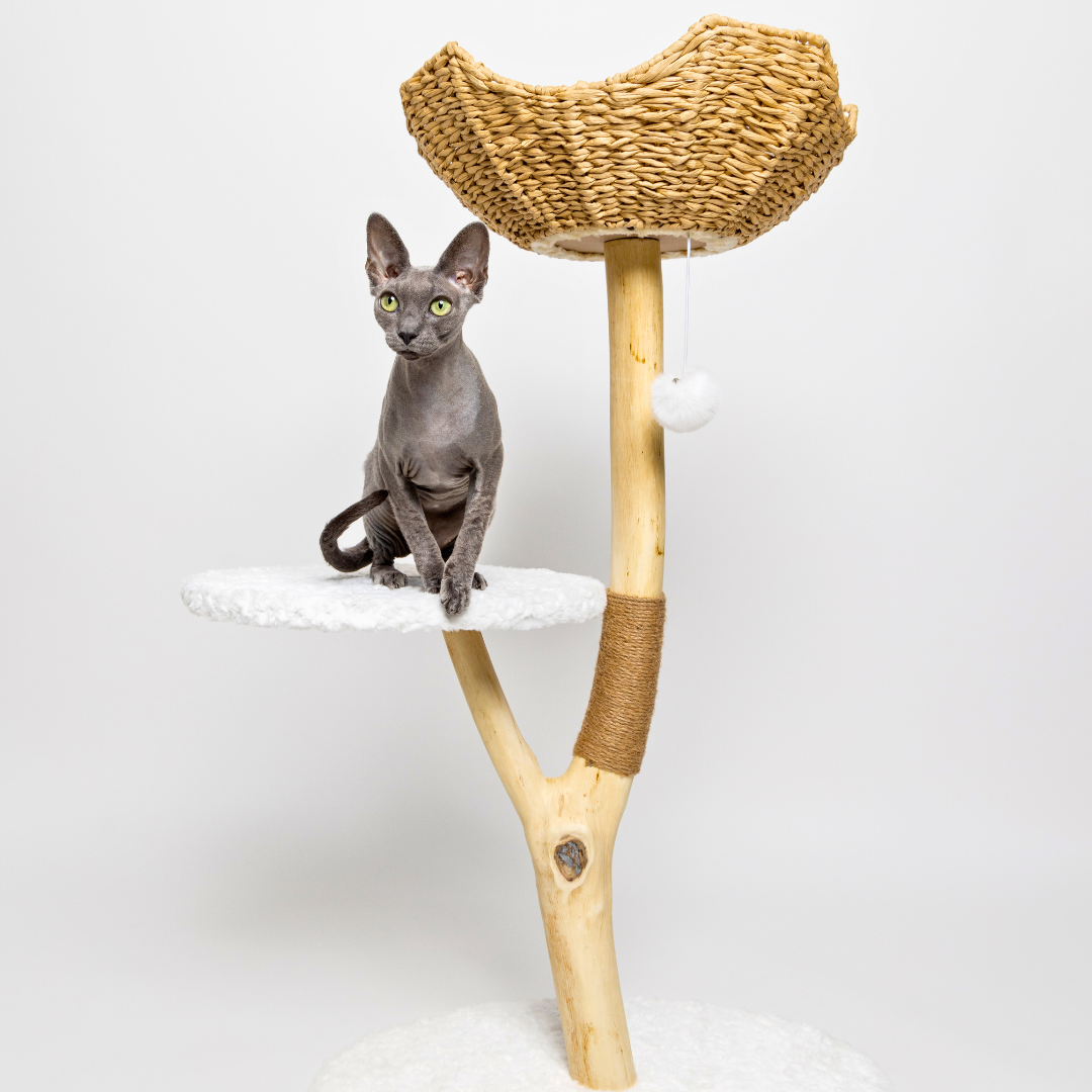 'The Alpine' Luxury Cat Tree