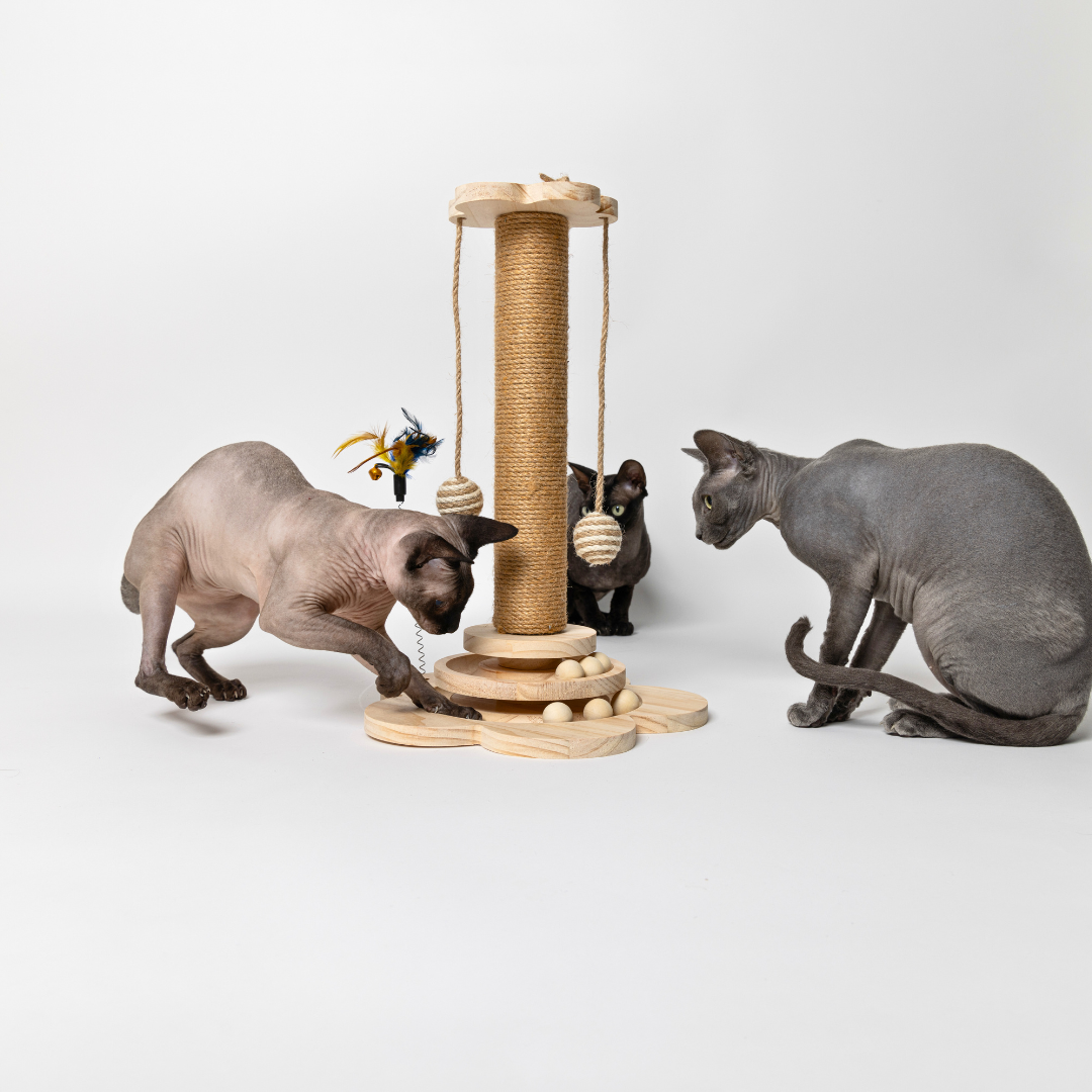 The Happy Scratch Post