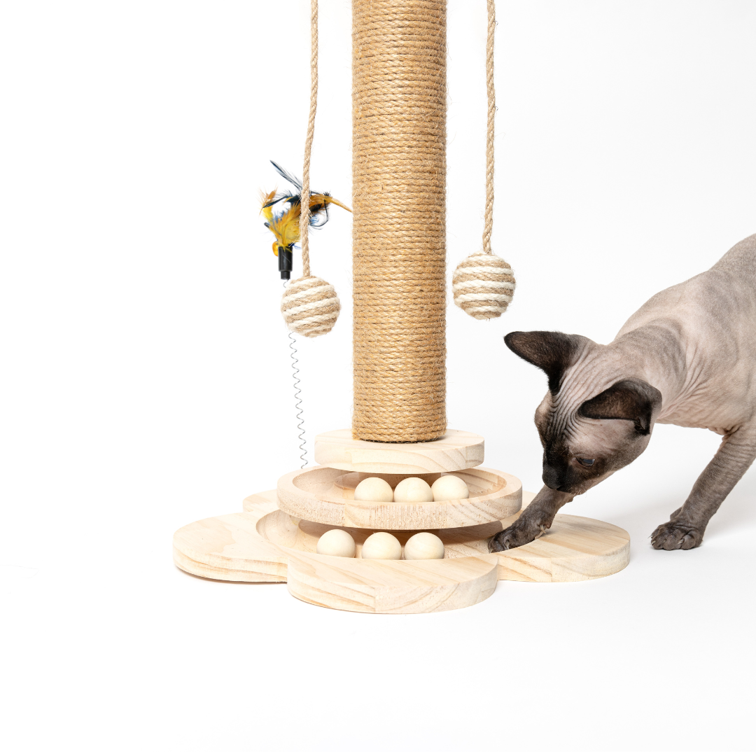 The Happy Scratch Post