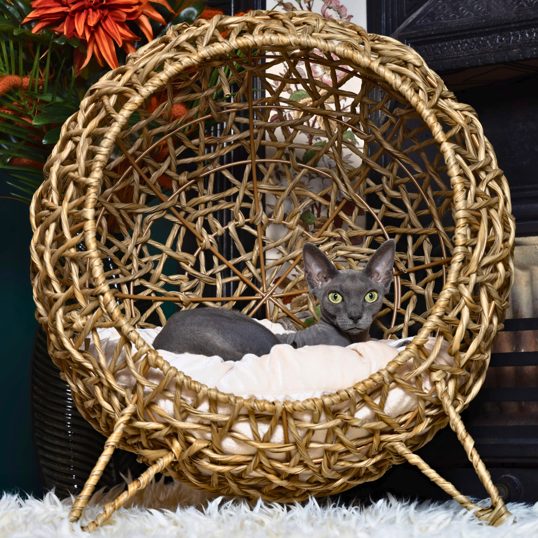 Rattan Globe