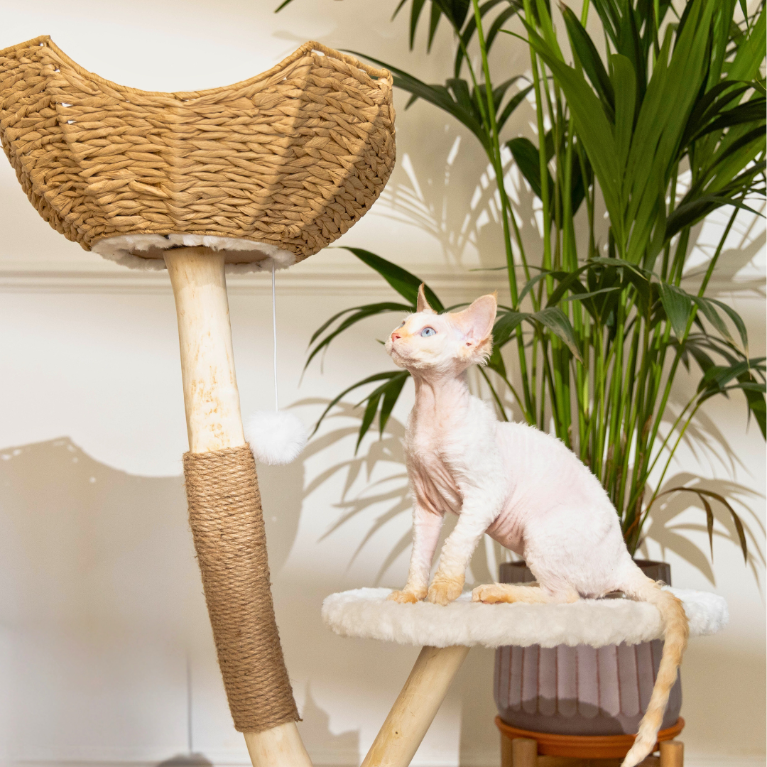 'The Alpine' Luxury Cat Tree
