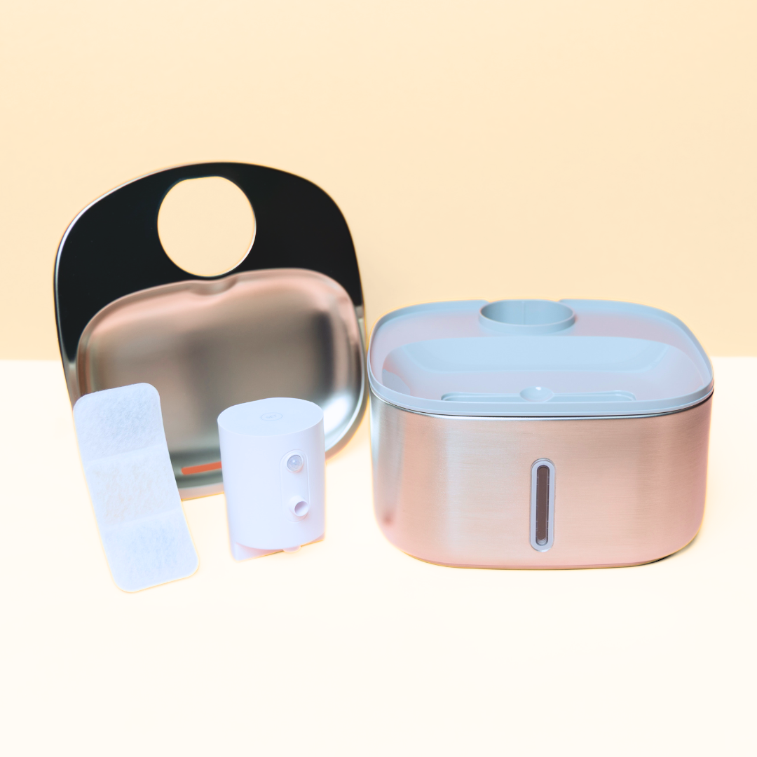 The 'Smart Stream' Wireless Cat Fountain