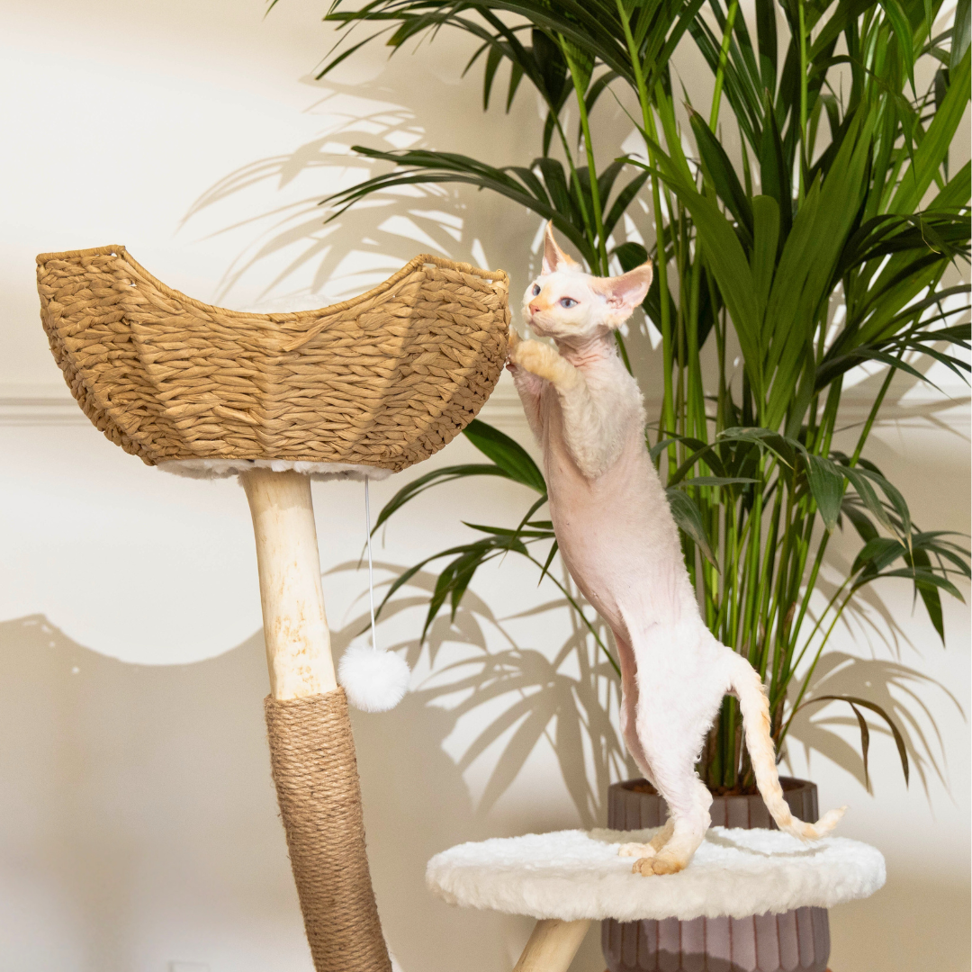 'The Alpine' Luxury Cat Tree